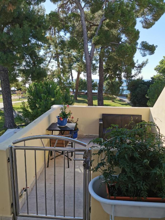 Appartement Mirta Deluxe Superior 5 Star Apartment, Your Piece Of Heaven By The Sea & Park, With Sea & Park View Novigrad Istria
